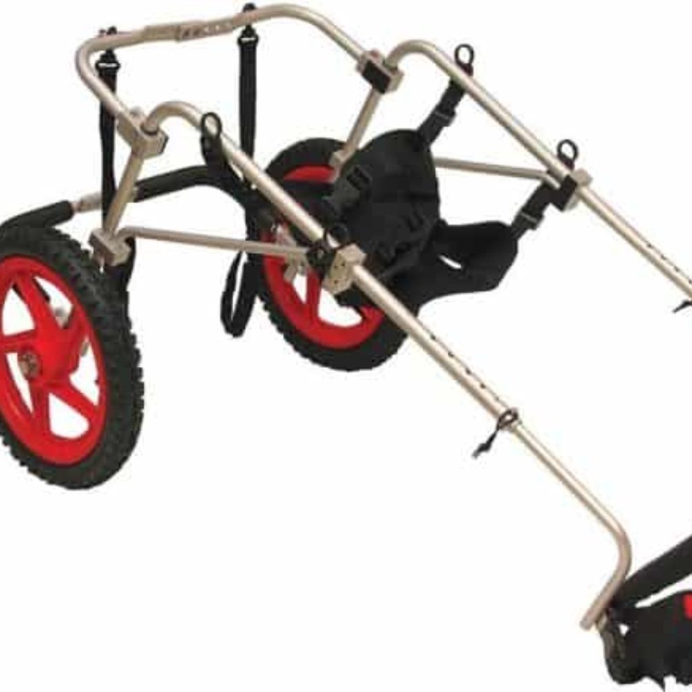 Best Friend Mobility  Dog Wheelchair